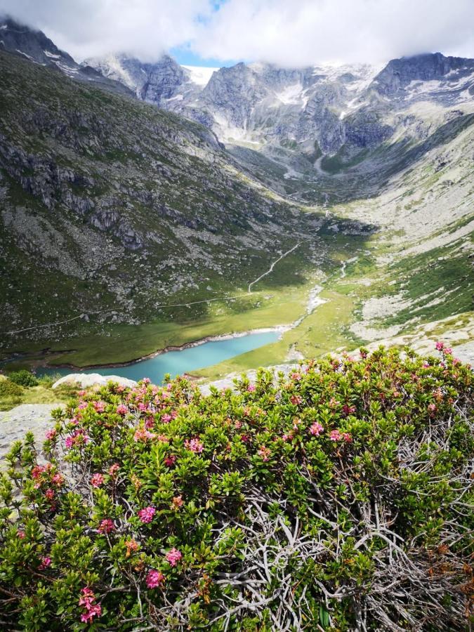 מלון Saviore dell'Adamello Rifugio Stella Alpina מראה חיצוני תמונה