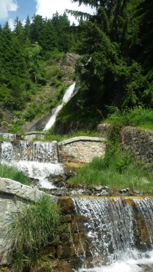 מלון Saviore dell'Adamello Rifugio Stella Alpina מראה חיצוני תמונה